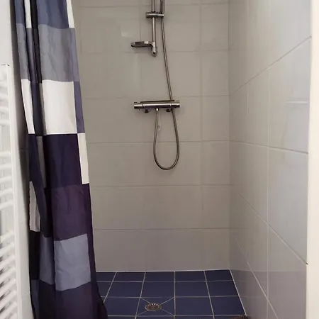 Les Camelias Appartement Le Mont-Dore